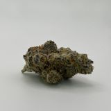 DDD-flower-dantes-inferno