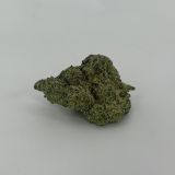 DDD-flower-Blue Razzberry