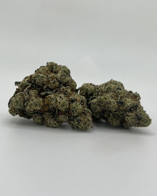 Galactic Jack – Sativa – 24.90% THC