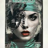 DDD-luigi-og-blue-kiwi