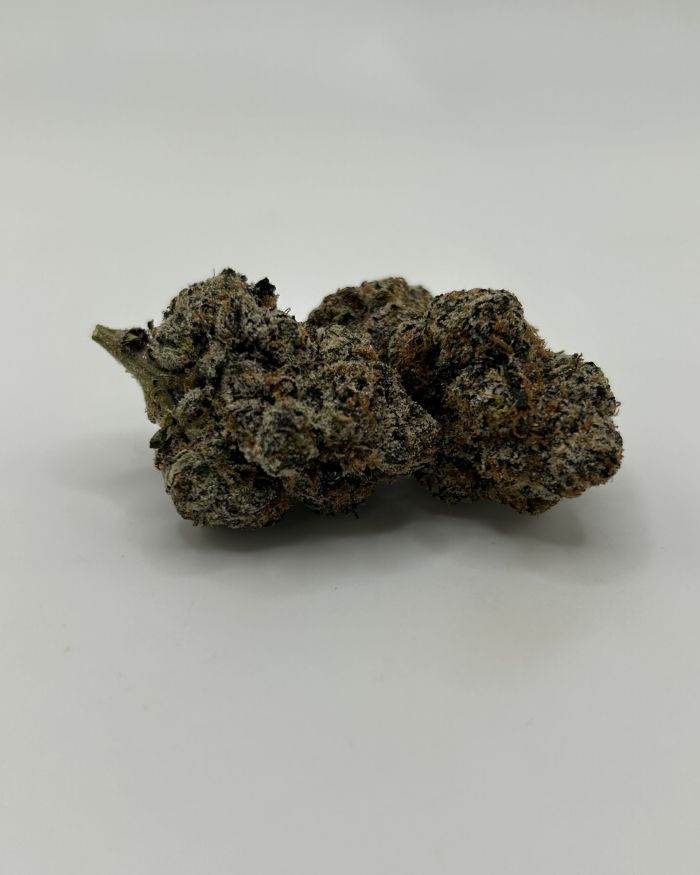 Hollywood Runtz – Hybrid- 29.19% THC